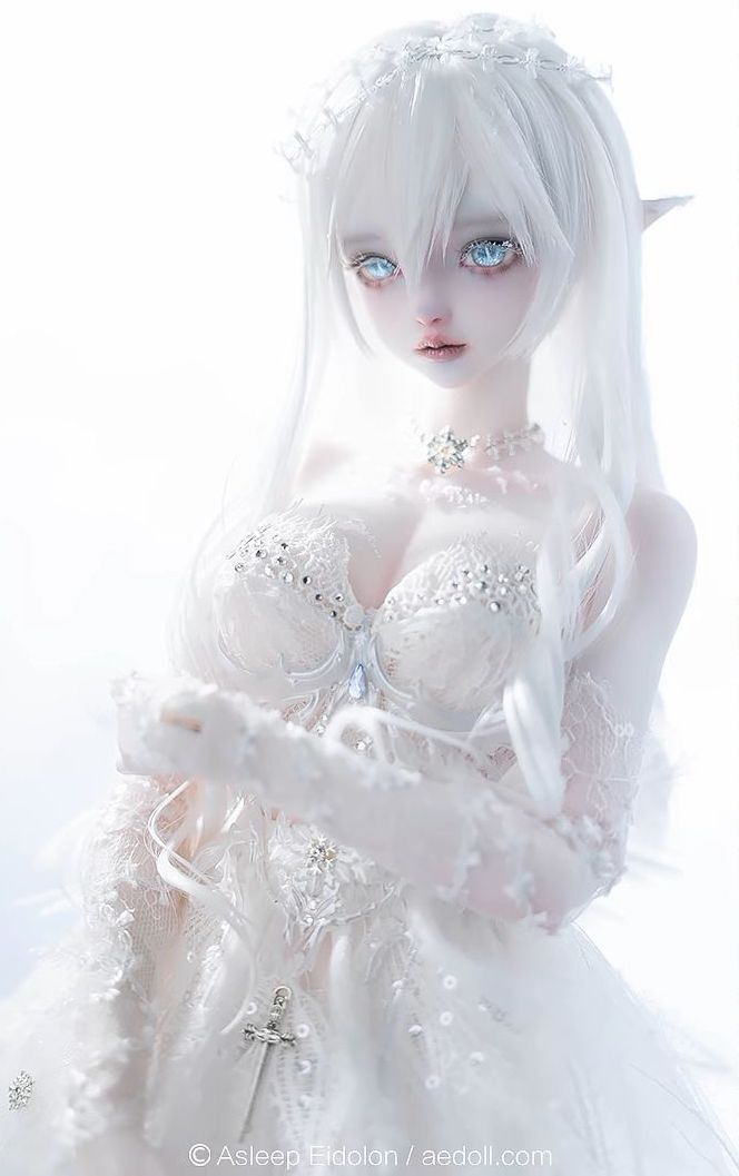 Neve Fullset [Limited quantity & time] | PREORDER | DOLL