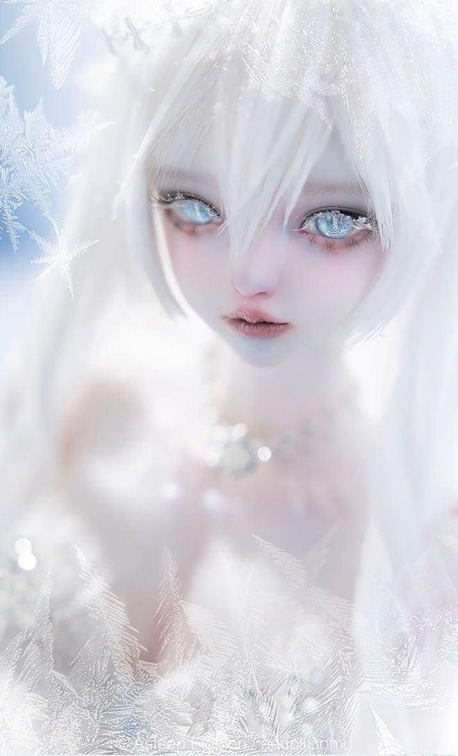 Neve Fullset [Limited quantity & time] | PREORDER | DOLL