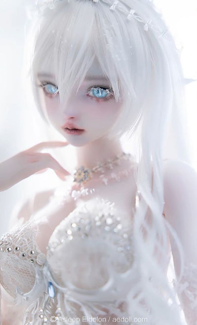 Neve Fullset [Limited quantity & time] | PREORDER | DOLL