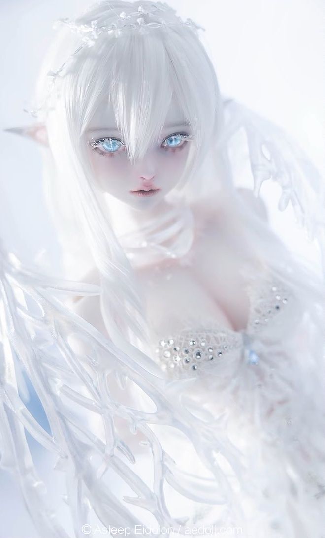 Neve Fullset [Limited quantity & time] | PREORDER | DOLL