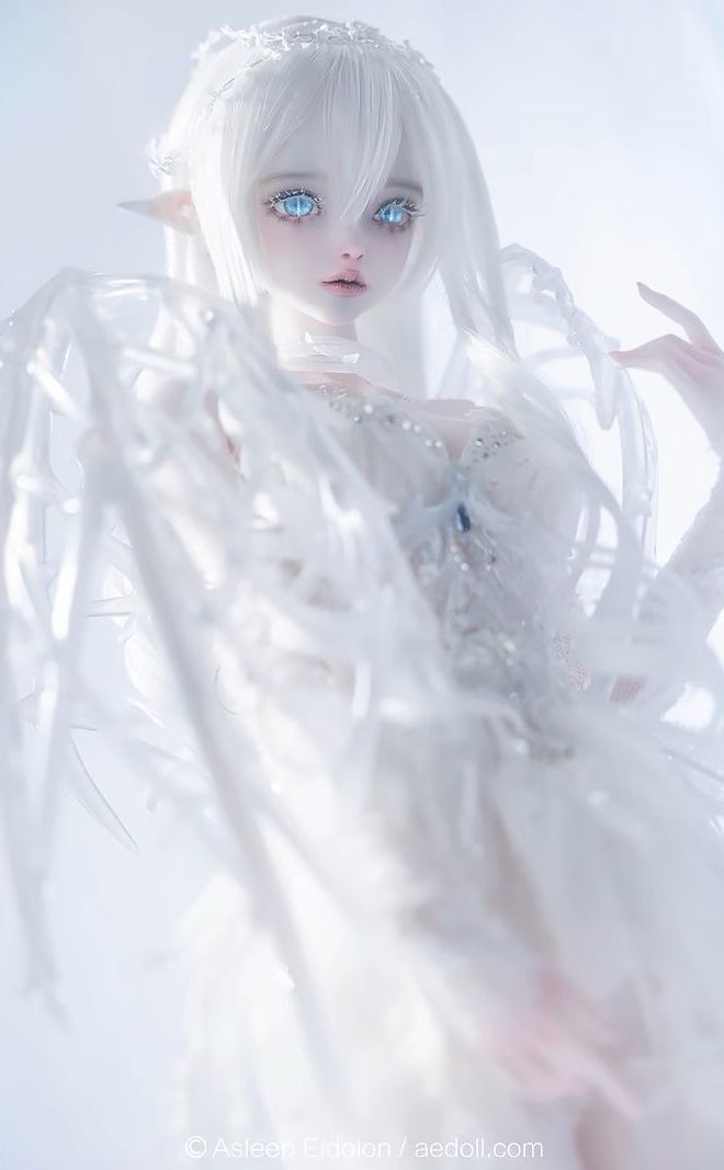 Neve Fullset [Limited quantity & time] | PREORDER | DOLL