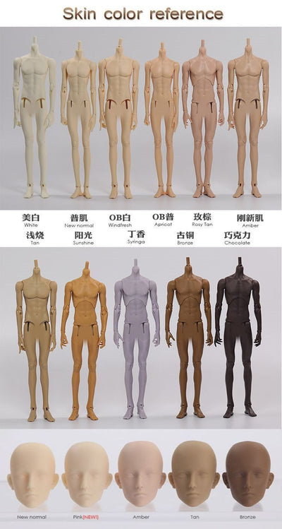 Male Body 70 & 75 Fortis | PREORDER | PARTS