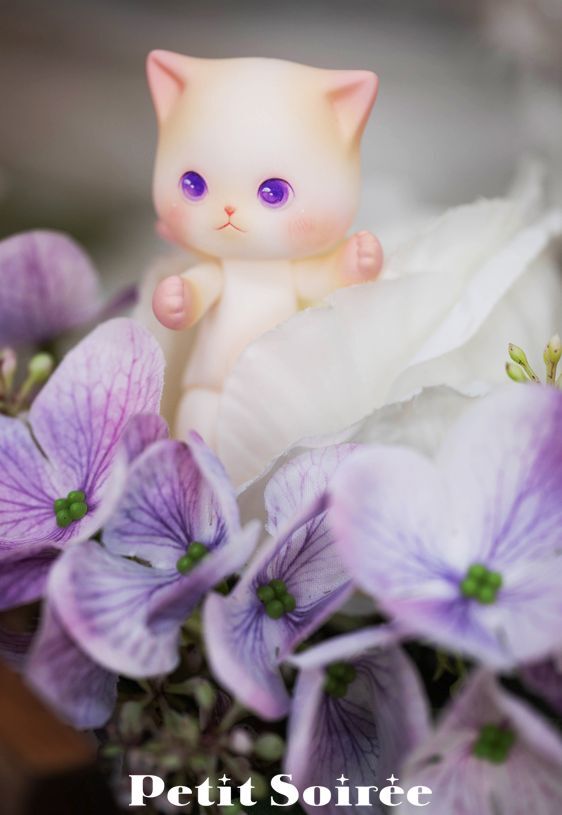 Petite PoPo : NABI (Spring) | PREORDER | DOLL