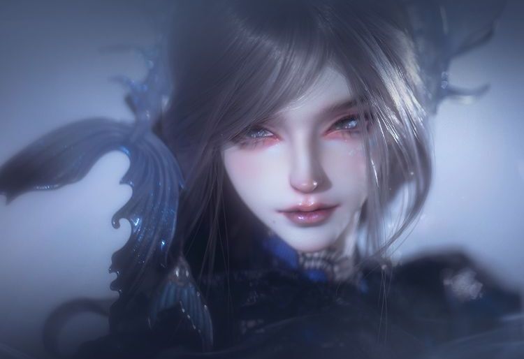 Tidal [Limited Time 15%OFF] | Preorder | DOLL
