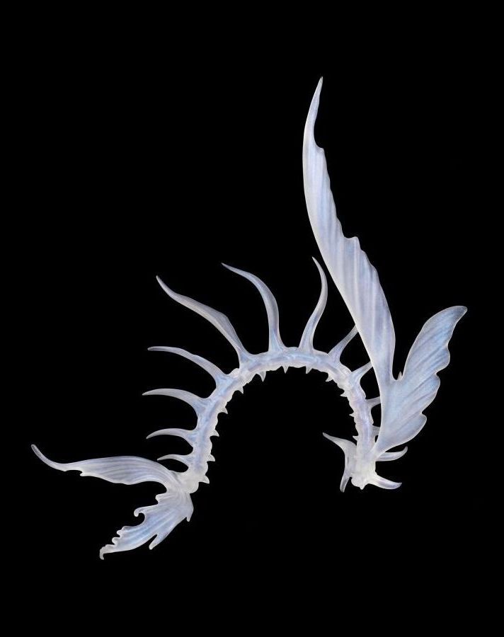 Fish Bone Crown [Limited Time 10%OFF] | Preorder | PARTS