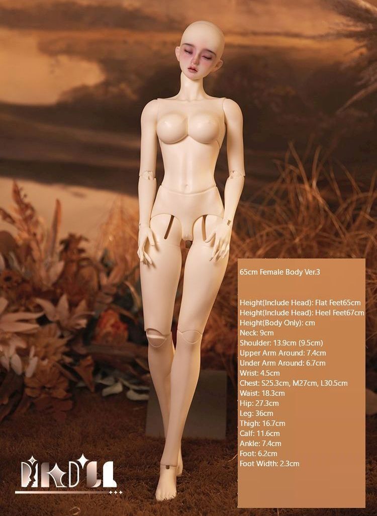 65cm Female Body Ver.3 [Limited Time Discount] | PREORDER | PARTS