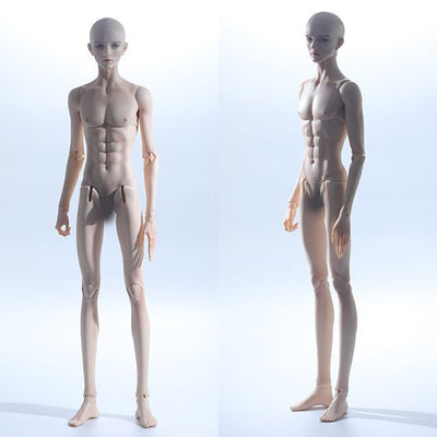 Male Body Zen 49cm | Preorder | PARTS