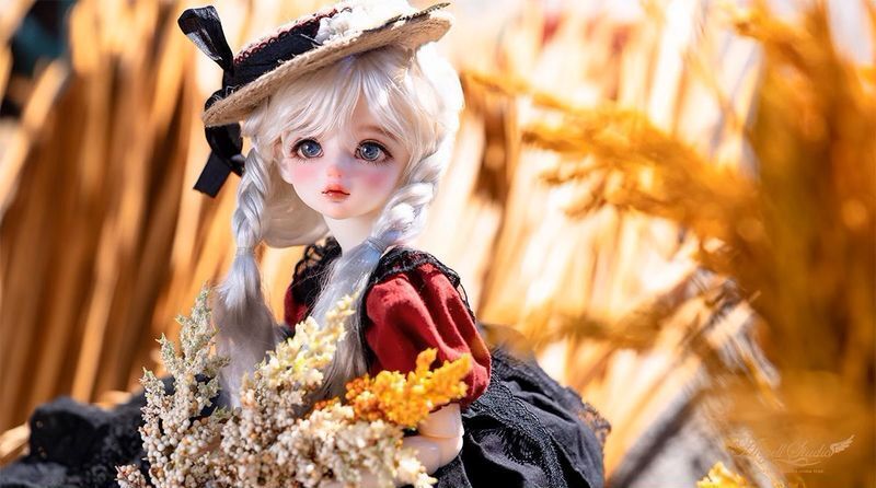 Wooly [Limited Time] | PREORDER | DOLL