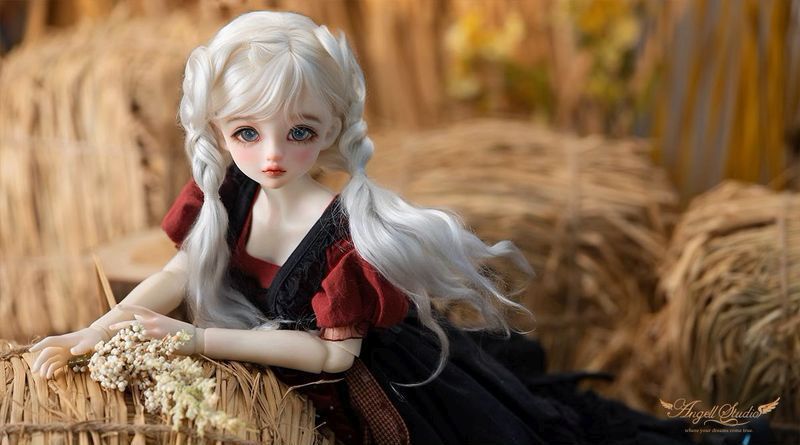 Wooly [Limited Time] | PREORDER | DOLL