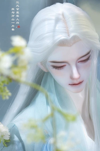MiaoJun Fullset [Quantity & limited time 15% OFF] | PREORDER | DOLL