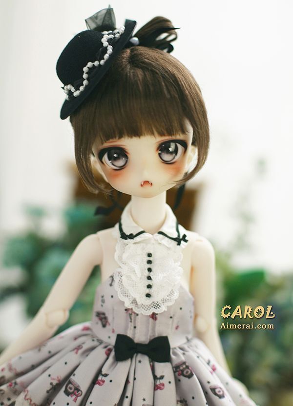 Carol - Manga Series [Limited Time 10%OFF] | Preorder | DOLL
