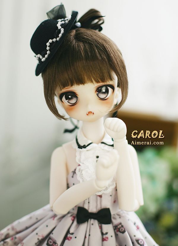 Carol - Manga Series Head [Limited Time 10%OFF] | Preorder | PARTS