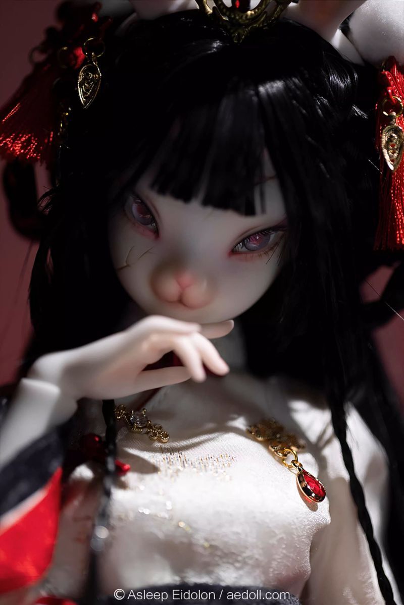 Conversation [Limited Time] | PREORDER | DOLL