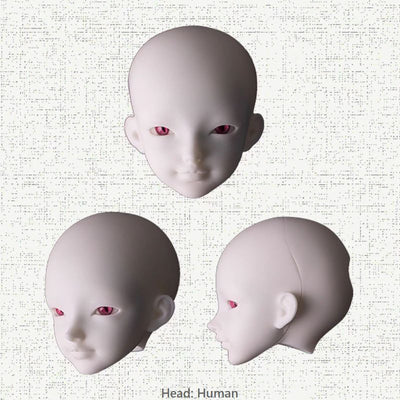 Conversation [Limited Time] | PREORDER | DOLL