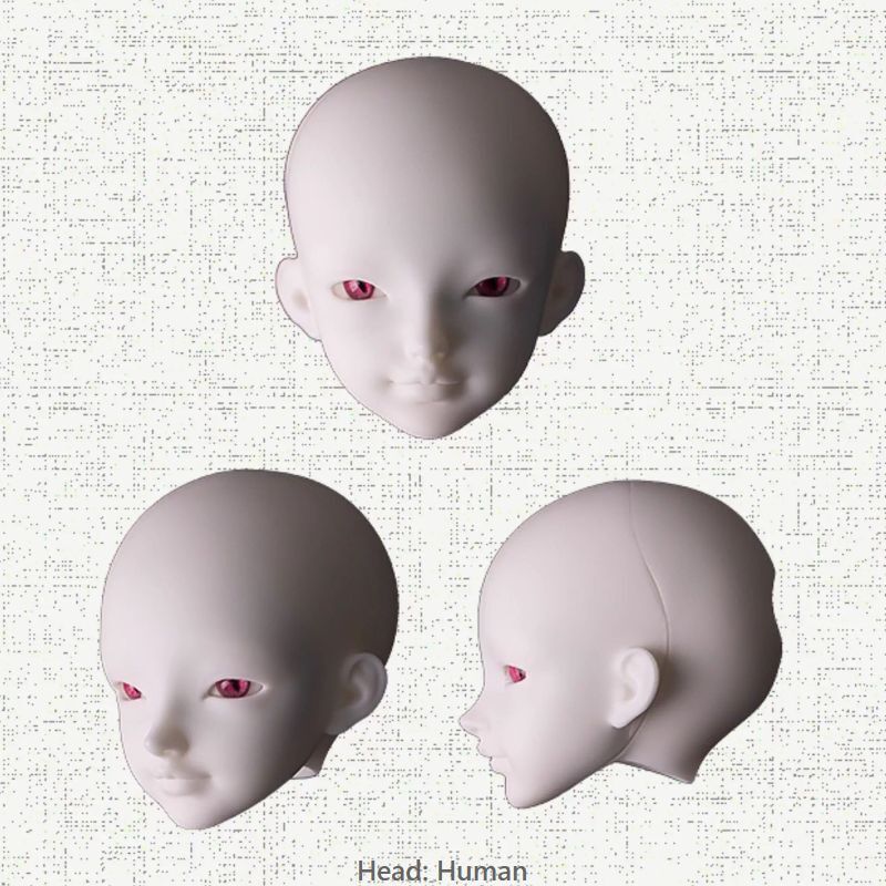 Conversation [Limited Time] | PREORDER | DOLL