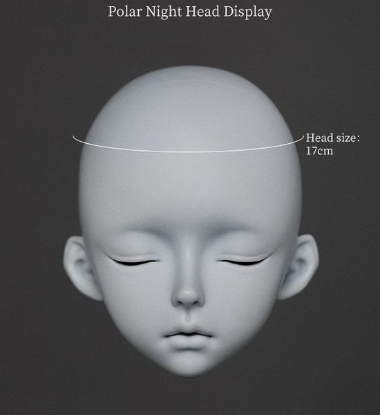 Polar Day & Polar Night Head [Limited Time 10%OFF] | Preorder | PARTS