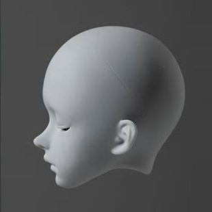 Polar Day & Polar Night Head [Limited Time 10%OFF] | Preorder | PARTS