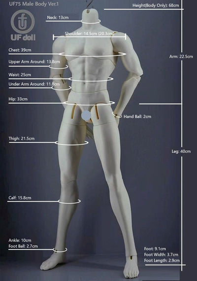 316: 75cm [Limited Time Offer] | PREORDER | DOLL