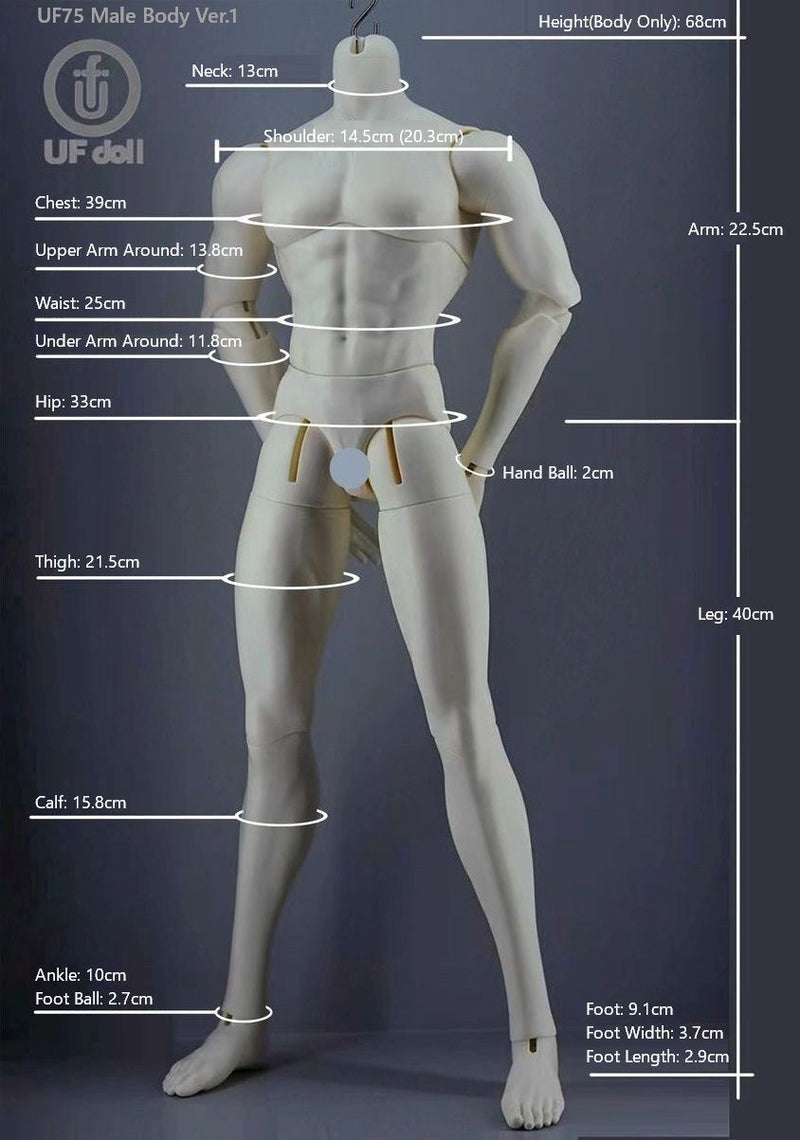316: 75cm [Limited Time Offer] | PREORDER | DOLL