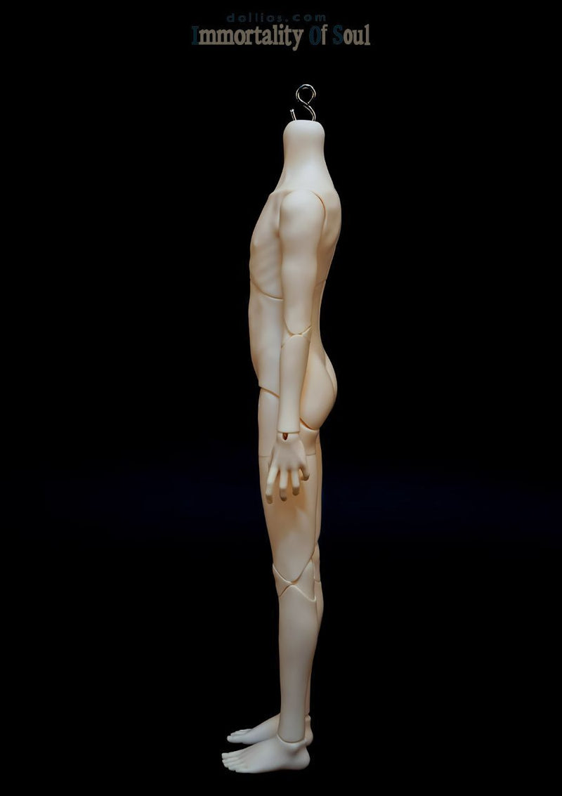 Co [Limited Time Discount] | PREORDER | DOLL