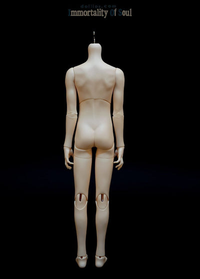 Co [Limited Time Discount] | PREORDER | DOLL
