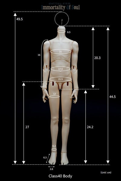 Co [Limited Time Discount] | PREORDER | DOLL