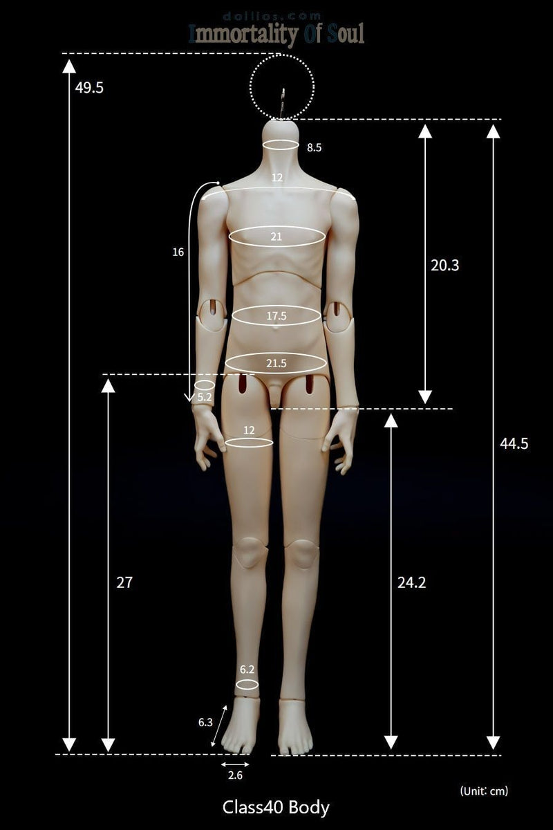 Co [Limited Time Discount] | PREORDER | DOLL