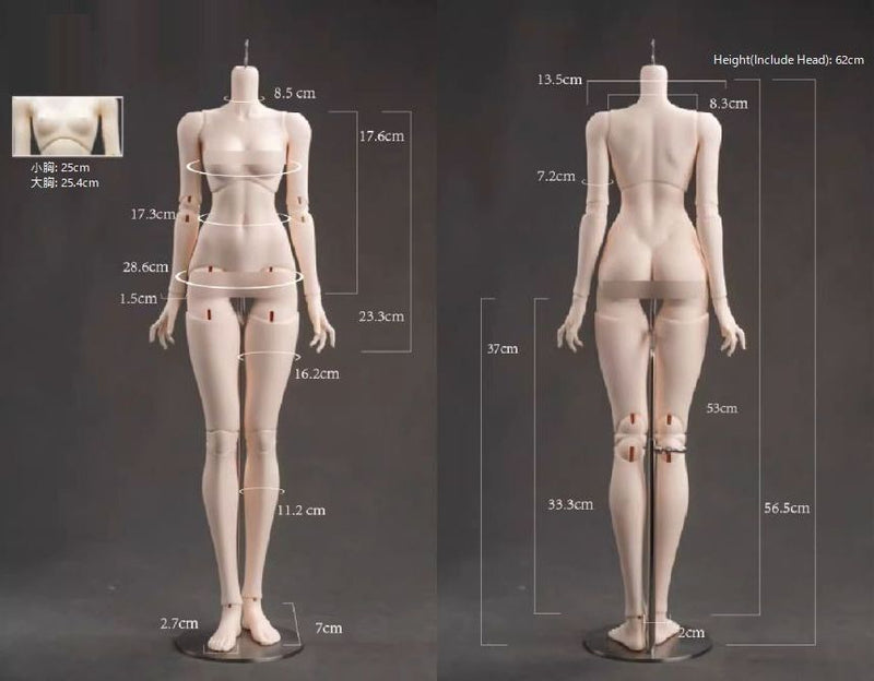 62cm Pure Girl Body [Limited time discount] | PREORDER | PARTS