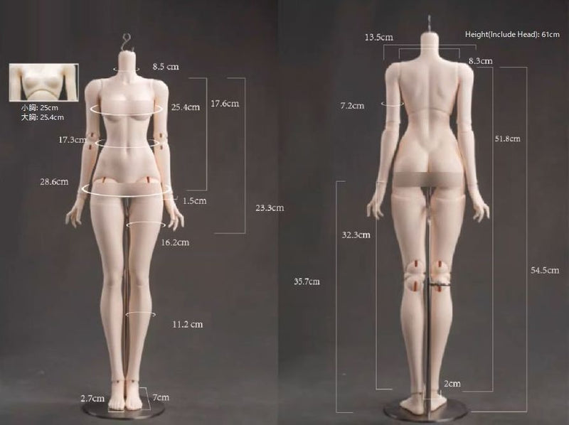 62cm Pure Girl Body [Limited time discount] | PREORDER | PARTS