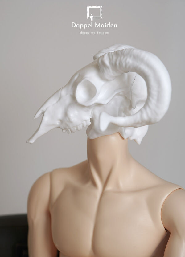 [DM75] CAPRIS Head [Limited Time Offer] | PREORDER | PARTS