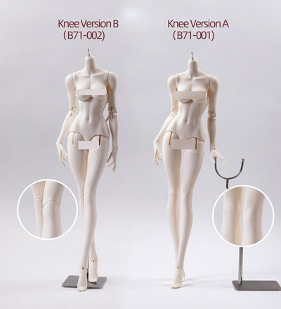 Papillon Fullset (Face Up) [Quantity & limited time 15% OFF] | PREORDER | DOLL