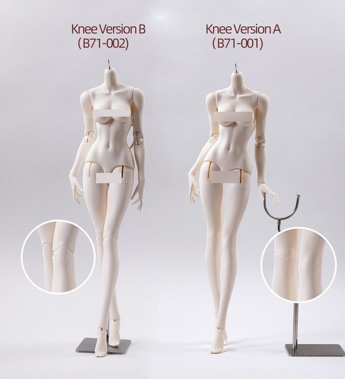 Papillon Fullset (Face Up) [Quantity & limited time 15% OFF] | PREORDER | DOLL