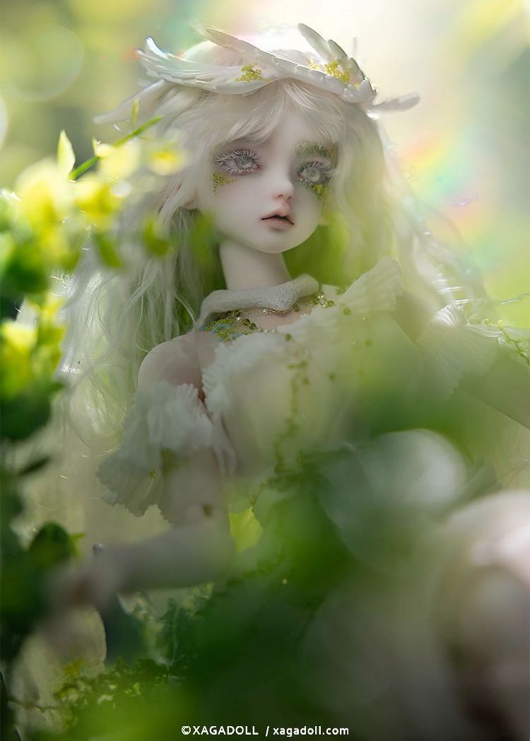 Sylvie Full Set [Limited time & quantity] | PREORDER | DOLL