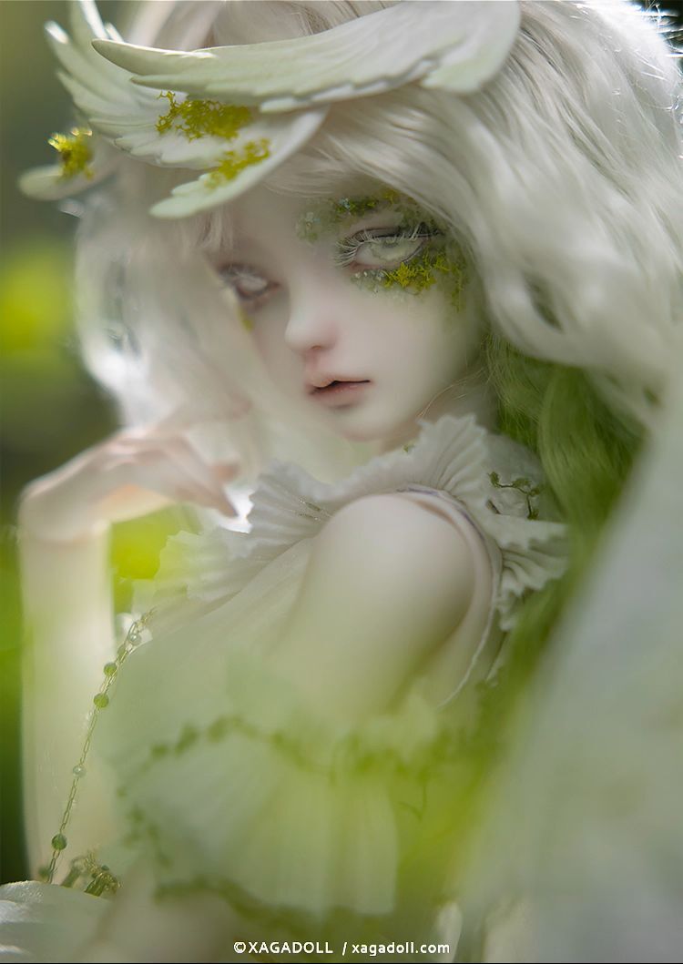 Sylvie Full Set [Limited time & quantity] | PREORDER | DOLL