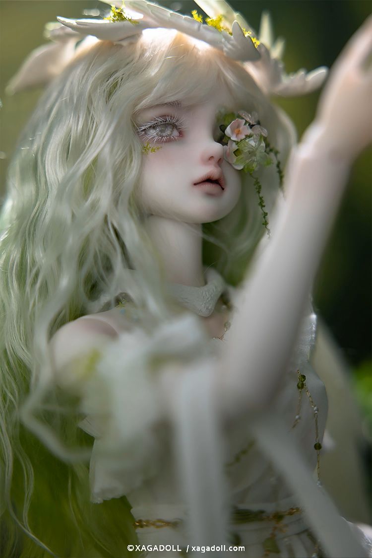 Sylvie Full Set [Limited time & quantity] | PREORDER | DOLL