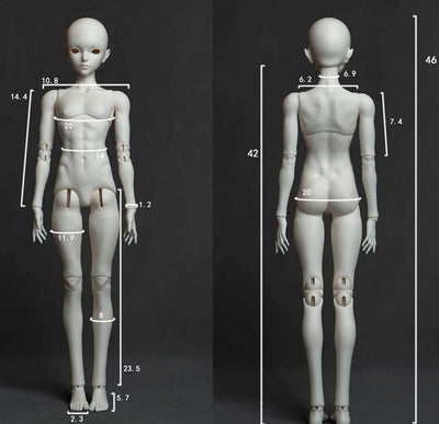 1/4 Boy Body Hidden Joint Ver. [Limited time discount] | PREORDER | PARTS