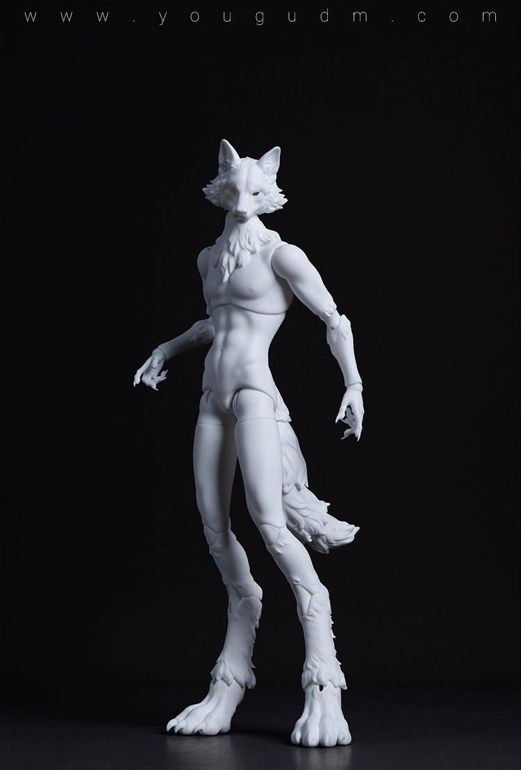 Robin Wolf Ver. Full Set [Limited Time 25% OFF] | PREORDER | DOLL