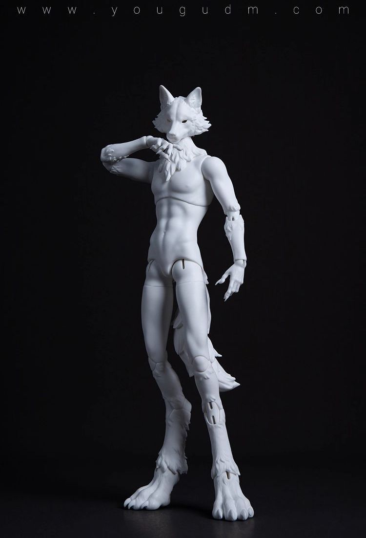 Robin Wolf Ver. Full Set [Limited Time 25% OFF] | PREORDER | DOLL