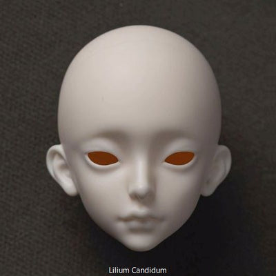 Moon Dust & Lilium Candidum Head [Limited time] | PREORDER | PARTS