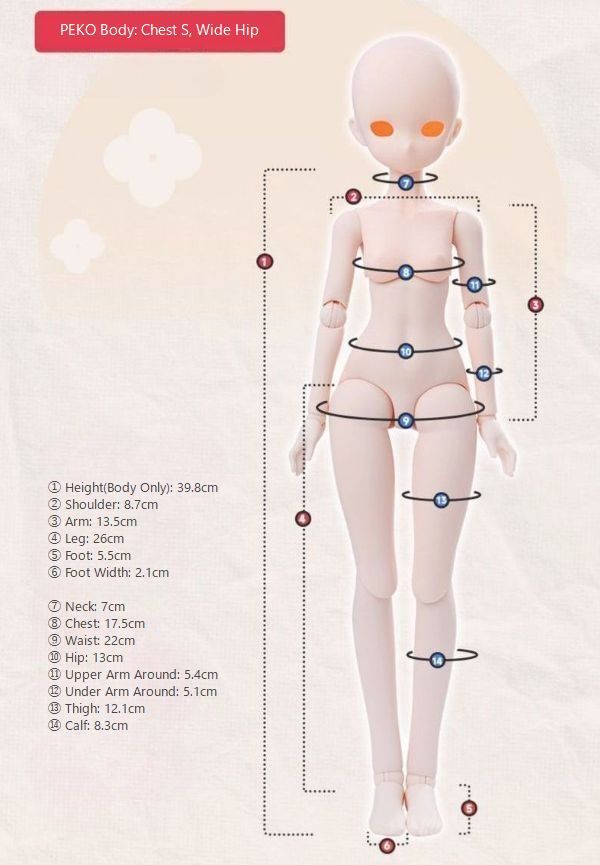 Chelsea Fullset [Limited Quantity] | Preorder | DOLL