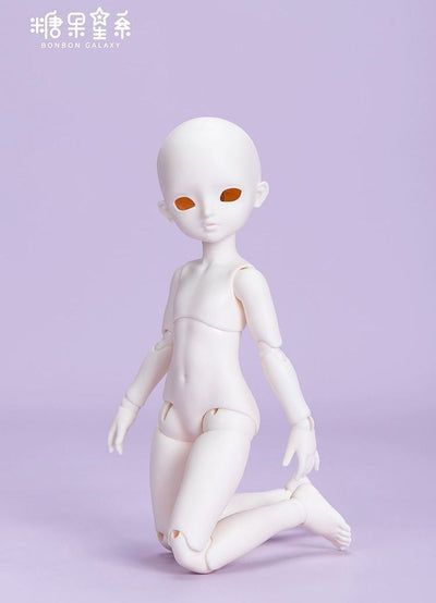 TG-B6-04 Body  (Lotus root) [Limited time] | PREORDER | PARTS