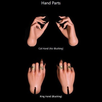 Xue Nai Full Set [Limited Time Offer] | PREORDER | DOLL