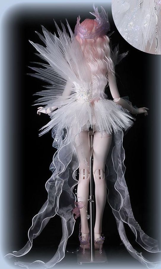 Iris Fullset A + Gift Accessories [Limited Time] | Preorder | DOLL