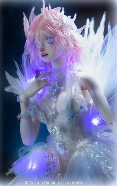 Iris Fullset B + Gift Accessories [Limited Time] | Preorder | DOLL