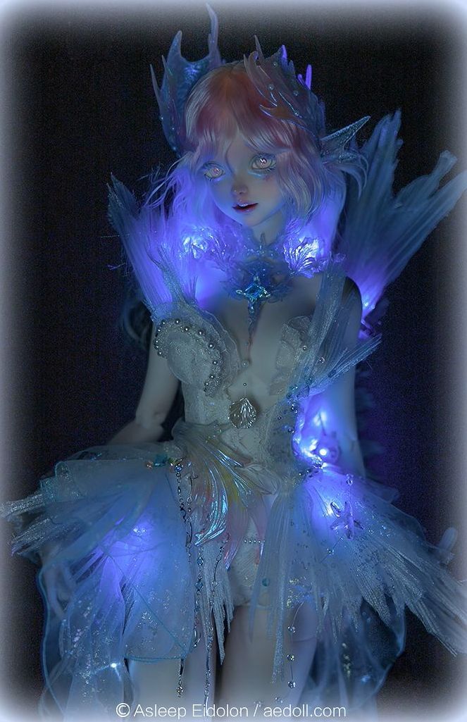 Iris Fullset B + Gift Accessories [Limited Time] | Preorder | DOLL