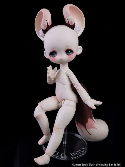Dona Human Ver. Fullset+Body Blush [Limited Quantity] | Preorder | DOLL