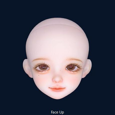 Xi Liu | Preorder | DOLL