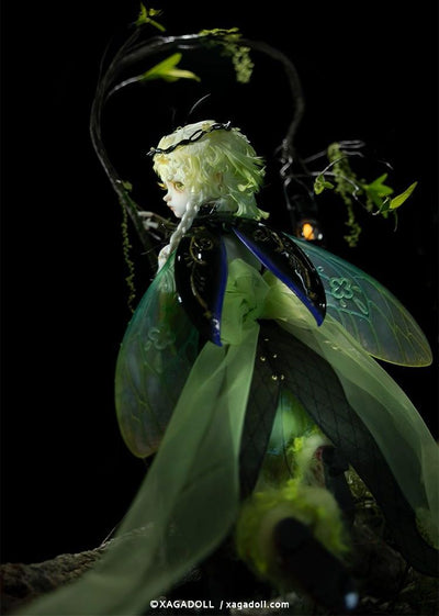 Lumina Fullset [Limited Time] | Preorder | DOLL