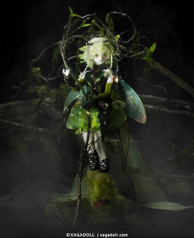 Lumina Fullset [Limited Time] | Preorder | DOLL