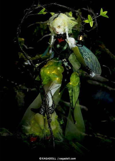 Lumina Fullset [Limited Time] | Preorder | DOLL